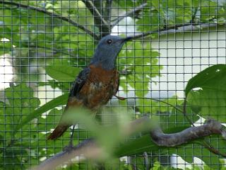 06250020.jpg (20286 Byte)