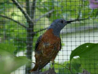 wpe1.jpg (10524 Byte)