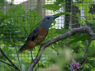 wpe2.jpg (13617 Byte)