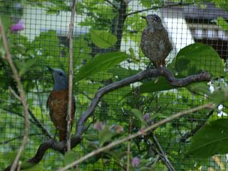 06250024.jpg (19908 Byte)