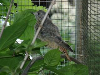 06250019.jpg (18449 Byte)