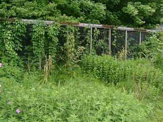 06050007.jpg (28622 Byte)