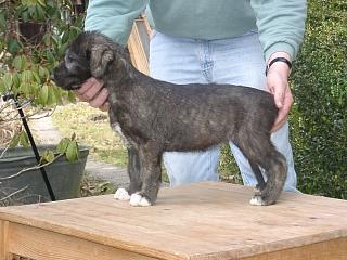 03170004.jpg (20004 Byte)