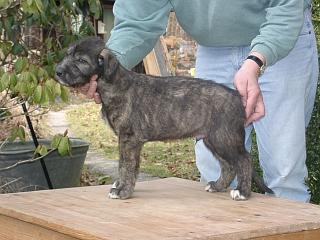 03170006.jpg (18641 Byte)