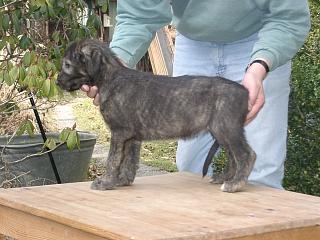 03170007.jpg (19559 Byte)