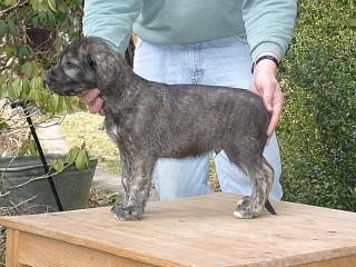 03170010.jpg (21254 Byte)