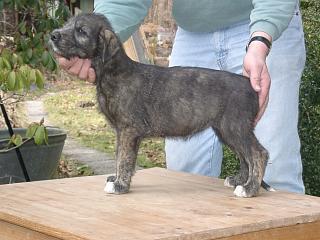 03170014.jpg (17871 Byte)