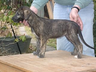 03170016.jpg (17826 Byte)