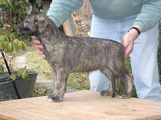 03170018.jpg (18585 Byte)