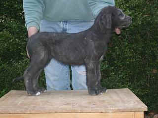 03280004.jpg (15571 Byte)