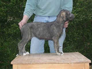 03280007.jpg (17032 Byte)