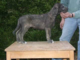 03280011.jpg (17096 Byte)