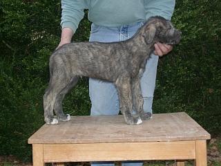 03280014.jpg (17207 Byte)