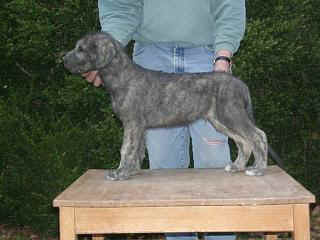 03280019.jpg (16173 Byte)