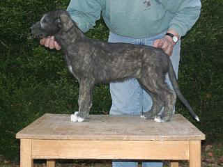 03280021.jpg (16127 Byte)