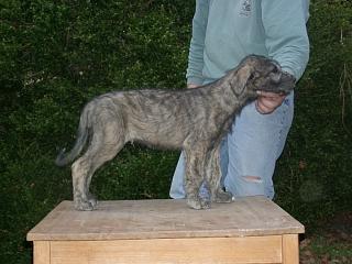 03280022.jpg (16391 Byte)