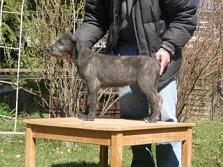 04080009.jpg (27293 Byte)