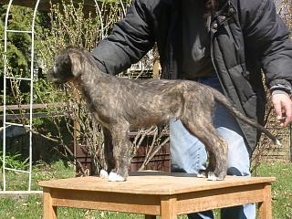 04080019.jpg (26155 Byte)