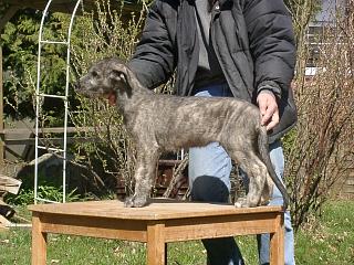 04080028.jpg (28189 Byte)