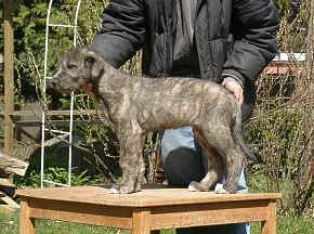 04080033.jpg (27354 Byte)