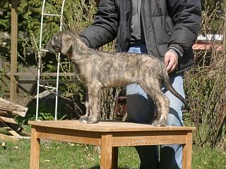 04080041.jpg (26529 Byte)