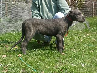 04230015.jpg (26499 Byte)