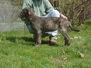 04230022.jpg (26962 Byte)