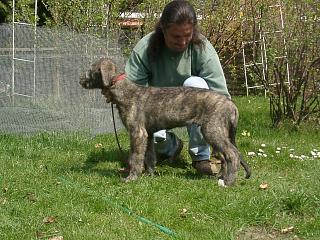 04230027.jpg (26818 Byte)