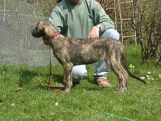 04230034.jpg (26943 Byte)