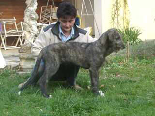 Conlan11W.jpg (14616 Byte)