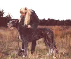 Klicken Sie hier fr mehr Informationen ber Donna/Click here for more information