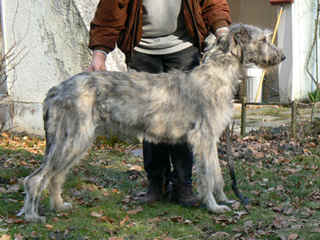 Elaine_546_k.jpg (13893 Byte)