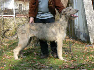 Erin_471_k.jpg (145954 Byte)