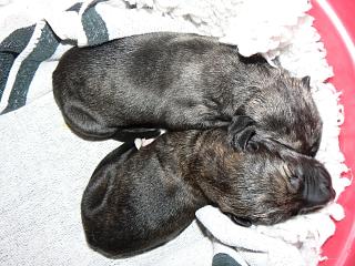 P1020973.JPG (20944 Byte)