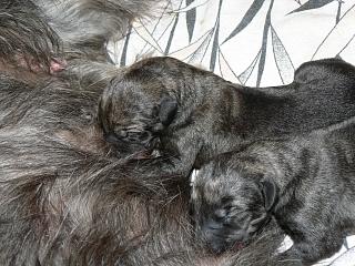 P1020977.JPG (23164 Byte)