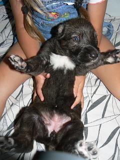 P1030078.JPG (19820 Byte)