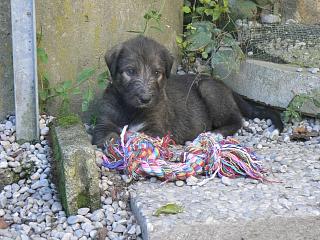 P1030324.JPG (24083 Byte)