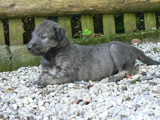 P1030329.JPG (23418 Byte)