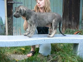 P1030356.JPG (18925 Byte)