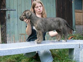 P1030418.JPG (20342 Byte)