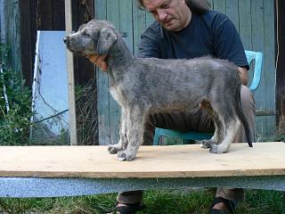 P1030528.JPG (19214 Byte)