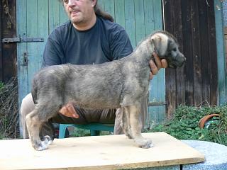 P1030535.JPG (17380 Byte)