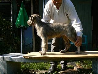 P1030688.JPG (18405 Byte)