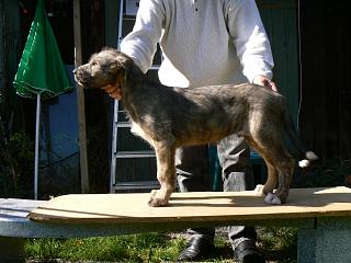 P1030698.JPG (17846 Byte)