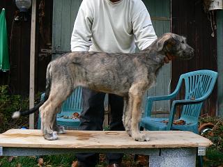 P1040142.JPG (19053 Byte)