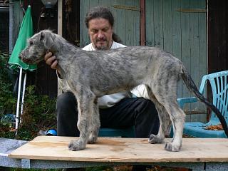 P1040152.JPG (18969 Byte)