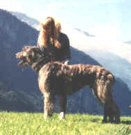 quizy.jpg (5152 Byte)