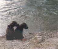 Wann kommt das nchste Schiff?