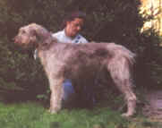 Klicken Sie hier fr mehr Informationen ber Tiffany/Click here for more information